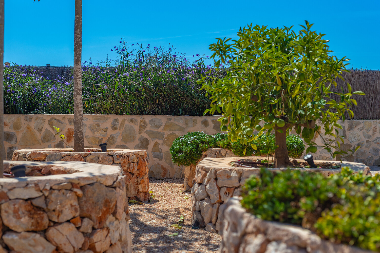 part of the garden