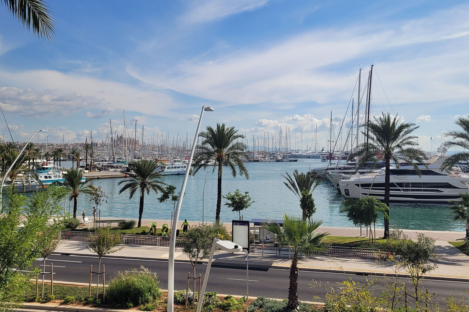 M27748-meerblick-wohnung-paseo-maritimo-palma-zu-vermietenb